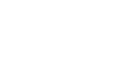 The Arts Council